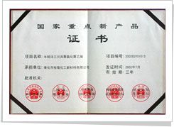 2002年 国家级重点新产品